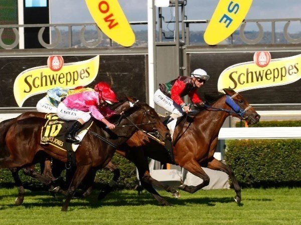 morphettville tips for 18.07.2020