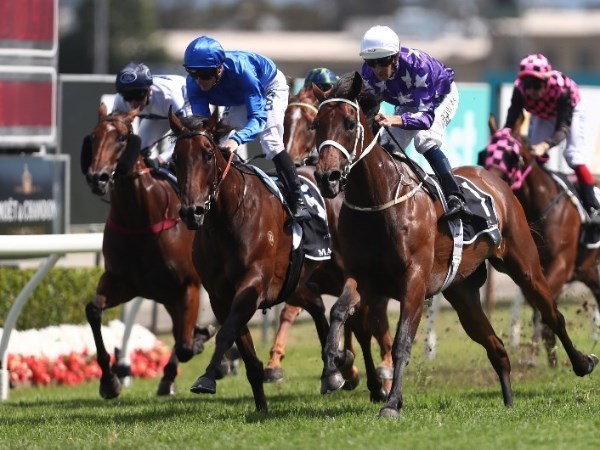 Sunshine Coast Racing Tips for 08.11.2019