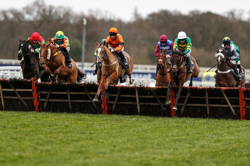 long walk hurdle ascot