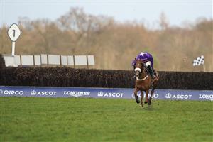 ASCOT, ENGLAND - DECEMBER 19: Harry Cobden riding Mister Malarky bypass the last fence to win The Good Luck Hollie In SPOTY Silver Cup Handicap Chase at Ascot Racecourse on December 19, 2020 in Ascot, England. Owners are allowed to attend if they have a runner at the meeting otherwise racing remains behind closed doors to the public due to the Coronavirus pandemic. (Photo by Alan Crowhurst/Getty Images)