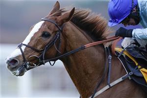 ASCOT, ENGLAND - DECEMBER 19: Tom O'Brien riding Not So Sleepy clear the last to win The Betfair Exchange Trophy at Ascot Racecourse on December 19, 2020 in Ascot, England. Owners are allowed to attend if they have a runner at the meeting otherwise racing remains behind closed doors to the public due to the Coronavirus pandemic. (Photo by Alan Crowhurst/Getty Images)