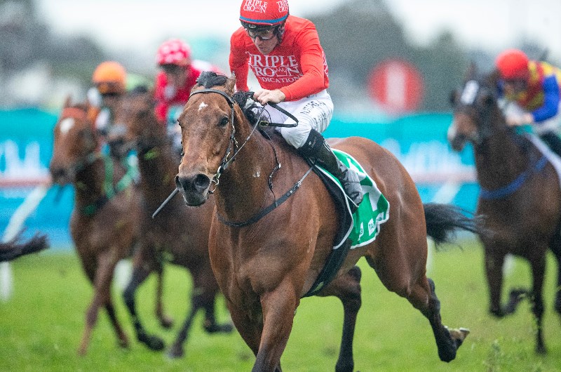 Randwick Blackbookers for 19.12.2020
