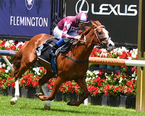 MELBOURNE, AUSTRALIA - DECEMBER 19: Jason Benbow riding Written Miss to win Race 2, the Lexus Holiday Plate, during Melbourne Racing at Flemington Racecourse on December 19, 2020 in Melbourne, Australia. (Photo by Vince Caligiuri/Getty Images)