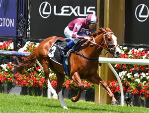 MELBOURNE, AUSTRALIA - DECEMBER 19: Jason Benbow riding Written Miss to win Race 2, the Lexus Holiday Plate, during Melbourne Racing at Flemington Racecourse on December 19, 2020 in Melbourne, Australia. (Photo by Vince Caligiuri/Getty Images)