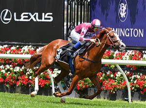 MELBOURNE, AUSTRALIA - DECEMBER 19: Jason Benbow riding Written Miss to win Race 2, the Lexus Holiday Plate, during Melbourne Racing at Flemington Racecourse on December 19, 2020 in Melbourne, Australia. (Photo by Vince Caligiuri/Getty Images)