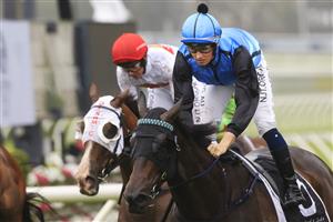 SYDNEY, AUSTRALIA - DECEMBER 19: Tom Sherry on Gone Bye wins race 4 the Schembrae’s @Blueberry Hills Handicap during Sydney Racing at Royal Randwick Racecourse on December 19, 2020 in Sydney, Australia. (Photo by Mark Evans/Getty Images)