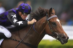 SYDNEY, AUSTRALIA - DECEMBER 19: Josh Parr on Big Parade wins race 9 the Heineken Handicap during Sydney Racing at Royal Randwick Racecourse on December 19, 2020 in Sydney, Australia. (Photo by Mark Evans/Getty Images)