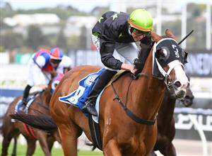 MELBOURNE, AUSTRALIA - DECEMBER 19: Jockey Campbell Rawiller riding Defiant Dancer to win Race 7, the Furphy Festive Season Sprint, during Melbourne Racing at Flemington Racecourse on December 19, 2020 in Melbourne, Australia. (Photo by Vince Caligiuri/Getty Images)