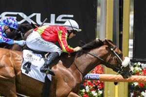 MELBOURNE, AUSTRALIA - DECEMBER 19: Damian Lane riding Wentwood wins Race 1, the Seppelt Salinger Handicap, during Melbourne Racing at Flemington Racecourse on December 19, 2020 in Melbourne, Australia. (Photo by Vince Caligiuri/Getty Images)