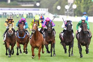 MELBOURNE, AUSTRALIA - DECEMBER 19: Damian Lane riding Sword of Mercy to win Race 9, the G.h. Mumm Christmas Plate, during Melbourne Racing at Flemington Racecourse on December 19, 2020 in Melbourne, Australia. (Photo by Vince Caligiuri/Getty Images)