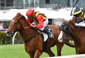 MELBOURNE, AUSTRALIA - DECEMBER 19: Damien Oliver riding Vassilator wins Race 8, the Kennedy Handicap, during Melbourne Racing at Flemington Racecourse on December 19, 2020 in Melbourne, Australia. (Photo by Vince Caligiuri/Getty Images)