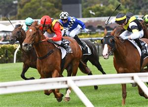 MELBOURNE, AUSTRALIA - DECEMBER 19: Damien Oliver riding Vassilator wins Race 8, the Kennedy Handicap, during Melbourne Racing at Flemington Racecourse on December 19, 2020 in Melbourne, Australia. (Photo by Vince Caligiuri/Getty Images)