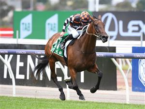 MELBOURNE, AUSTRALIA - DECEMBER 19: Jockey John Allen riding
Zou Dancer to win Race 3, the Tab App Trophy, during Melbourne Racing at Flemington Racecourse on December 19, 2020 in Melbourne, Australia. (Photo by Vince Caligiuri/Getty Images)