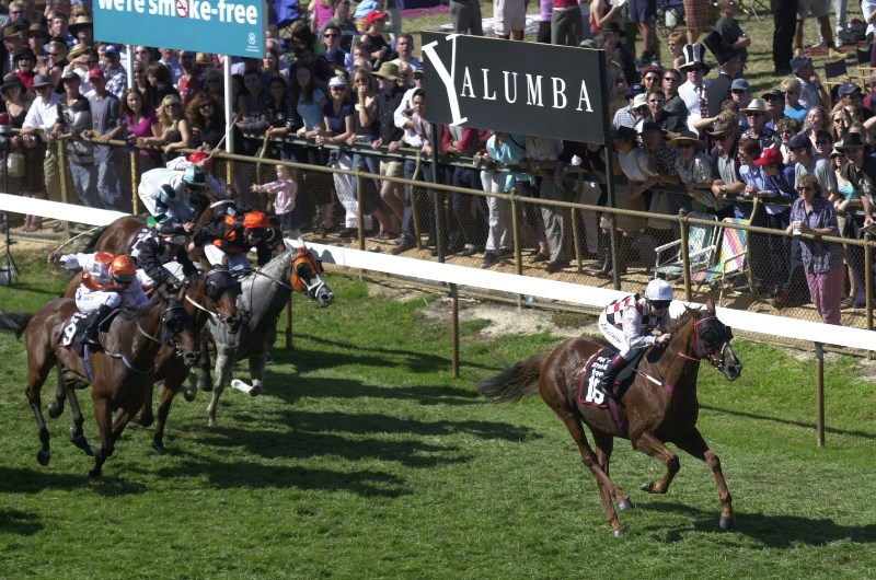 Oakbank Tips for 23.12.2020