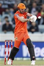 CANBERRA, AUSTRALIA - DECEMBER 22: Ashton Turner of the Perth Scorchers bats during the Big Bash League match between the Sydney Thunder and the Perth Scorchers at Manuka Oval, on December 22, 2020, in Canberra, Australia. (Photo by Darrian Traynor/Getty Images)