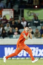 CANBERRA, AUSTRALIA - DECEMBER 22: Jason Behrendorff of the Perth Scorchers takes a catch to dismiss Usman Khawaja of the Thunder during the Big Bash League match between the Sydney Thunder and the Perth Scorchers at Manuka Oval, on December 22, 2020, in Canberra, Australia. (Photo by Darrian Traynor/Getty Images)