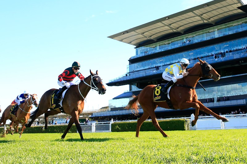 Randwick Tips for 26.12.2020