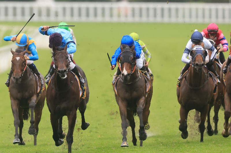 Weekend Racing Multi
