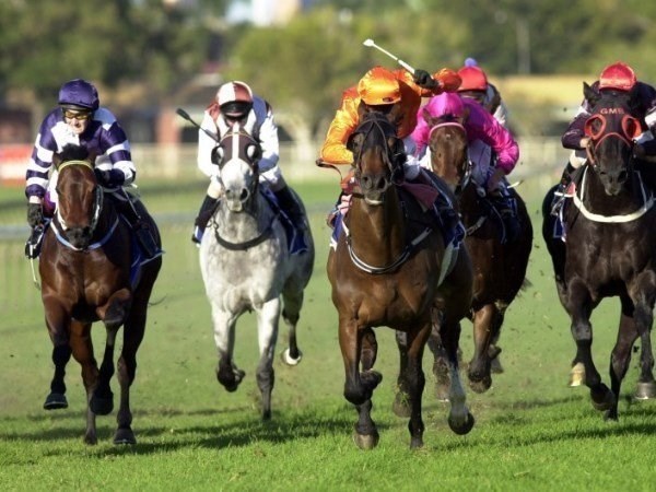 eagle farm racing
