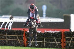 SUNBURY, ENGLAND - DECEMBER 27: Chester Williams riding Honneur d'Ajonc fall at the last with the race at their mercy in The Get Your Ladbrokes 1 Free Bet Introductory Juvenile Hurdle at Kempton Park Racecourse on December 27, 2020 in Sunbury, England. Owners are allowed to attend if they have a runner at the meeting otherwise racing remains behind closed doors to the public due to the Coronavirus pandemic. (Photo by Alan Crowhurst/Getty Images)