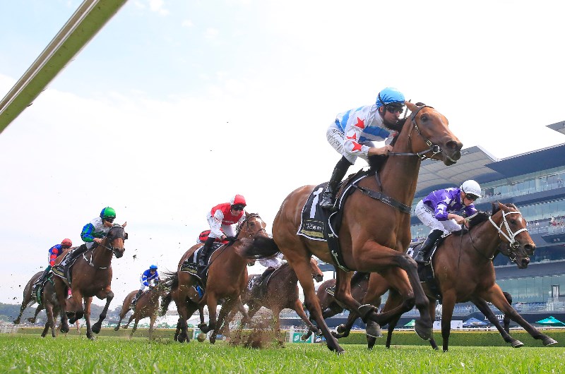 Gosford Tips for 29.12.2020