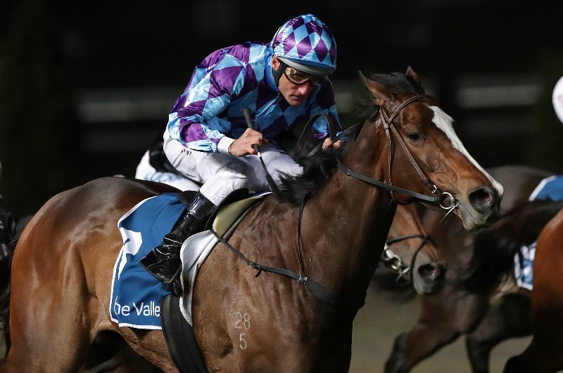 Perth Cup Betting Odds