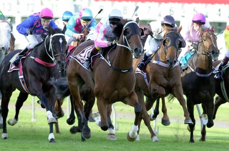 Pinjarra Racing Tips for 08.02.2020