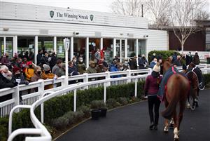 CATTERICK, ENGLAND - DECEMBER 28: Racegoers watch horses in the parade ring at Catterick Racecourse on December 28, 2020 in Catterick, England. (Photo by Tim Goode - Pool / Getty Images)