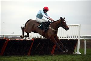 CATTERICK, ENGLAND - DECEMBER 28: Anythingforlove ridden by Gavin Sheehan on their way to winning the Sky Bet Price Boost Promise Mares' Novices' Hurdle on December 28, 2020 in Catterick, England. (Photo by Tim Goode - Pool / Getty Images)