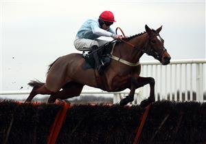 CATTERICK, ENGLAND - DECEMBER 28: Anythingforlove ridden by Gavin Sheehan on their way to winning the Sky Bet Price Boost Promise Mares' Novices' Hurdle on December 28, 2020 in Catterick, England. (Photo by Tim Goode - Pool / Getty Images)