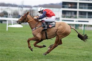 NEWBURY, ENGLAND - DECEMBER 29: Jamie Bargary riding Amateur clear the last to win The MansionBet's Best Odds Guaranteed Mandarin Handicap Chase at Newbury Racecourse on December 29, 2020 in Newbury, England. Owners are allowed to attend if they have a runner at the meeting otherwise racing remains behind closed doors to the public due to the Coronavirus pandemic. (Photo by Alan Crowhurst/Getty Images)
