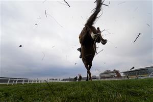 NEWBURY, ENGLAND - DECEMBER 29: A general view as runners land over the fence in front of the grandstands during The MansionBet's Bet 10 Get 20 Novices' Limited Handicap Chase at Newbury Racecourse on December 29, 2020 in Newbury, England. Owners are allowed to attend if they have a runner at the meeting otherwise racing remains behind closed doors to the public due to the Coronavirus pandemic. (Photo by Alan Crowhurst/Getty Images)