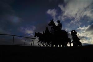 NEWBURY, ENGLAND - DECEMBER 29: A general view as runners circle in the pen before making their way onto the track for The MansionBet App 'Introductory' Hurdle at Newbury Racecourse on December 29, 2020 in Newbury, England. Owners are allowed to attend if they have a runner at the meeting otherwise racing remains behind closed doors to the public due to the Coronavirus pandemic. (Photo by Alan Crowhurst/Getty Images)
