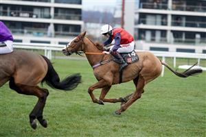 NEWBURY, ENGLAND - DECEMBER 29: Jamie Bargary riding Amateur (R) chase Luca Morgan riding Nestor Park (L) after jumping the last to win The MansionBet's Best Odds Guaranteed Mandarin Handicap Chase at Newbury Racecourse on December 29, 2020 in Newbury, England. Owners are allowed to attend if they have a runner at the meeting otherwise racing remains behind closed doors to the public due to the Coronavirus pandemic. (Photo by Alan Crowhurst/Getty Images)