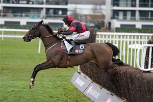 NEWBURY, ENGLAND - DECEMBER 29: Connor Brace riding Paint The Dream clear the last to win The MansionBet's Bet 10 Get 20 Novices' Limited Handicap Chase at Newbury Racecourse on December 29, 2020 in Newbury, England. Owners are allowed to attend if they have a runner at the meeting otherwise racing remains behind closed doors to the public due to the Coronavirus pandemic. (Photo by Alan Crowhurst/Getty Images)