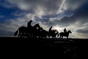 NEWBURY, ENGLAND - DECEMBER 29: A general view as runners circle in the pen before making their way onto the track for The MansionBet App 'Introductory' Hurdle at Newbury Racecourse on December 29, 2020 in Newbury, England. Owners are allowed to attend if they have a runner at the meeting otherwise racing remains behind closed doors to the public due to the Coronavirus pandemic. (Photo by Alan Crowhurst/Getty Images)