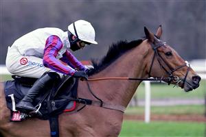 NEWBURY, ENGLAND - DECEMBER 29: Harry Cobden riding Bravemansgame clear the last to win The MansionBet Challow Novices' Hurdle at Newbury Racecourse on December 29, 2020 in Newbury, England. Owners are allowed to attend if they have a runner at the meeting otherwise racing remains behind closed doors to the public due to the Coronavirus pandemic. (Photo by Alan Crowhurst/Getty Images)