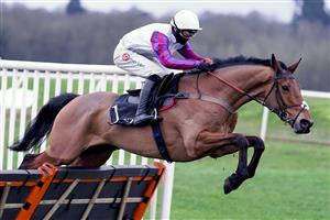 NEWBURY, ENGLAND - DECEMBER 29: Harry Cobden riding Bravemansgame clear the last to win The MansionBet Challow Novices' Hurdle at Newbury Racecourse on December 29, 2020 in Newbury, England. Owners are allowed to attend if they have a runner at the meeting otherwise racing remains behind closed doors to the public due to the Coronavirus pandemic. (Photo by Alan Crowhurst/Getty Images)