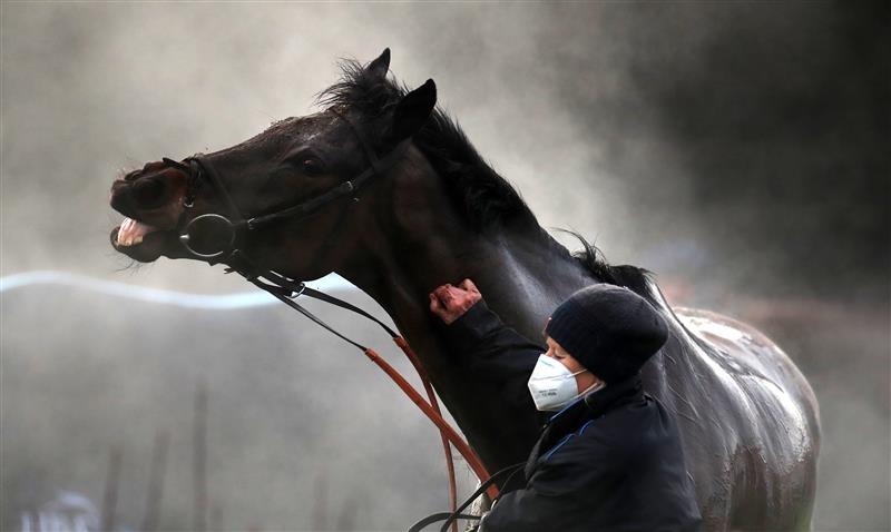 MARKET RASEN, ENGLAND - DECEMBER 30: A horse is hosed down after racing at Market Rasen Racecourse on December 30, 2020 in Market Rasen, England. (Photo by Mike Egerton - Pool/Getty Images)