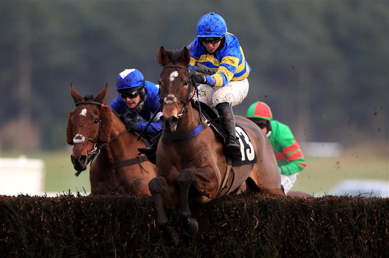 MARKET RASEN, ENGLAND - DECEMBER 30: Who's In The Box ridden by Charlie Hammond goes on to win The Lincolnshire National Handicap Chase at Market Rasen Racecourse on December 30, 2020 in Market Rasen, England. (Photo by Mike Egerton - Pool/Getty Images)