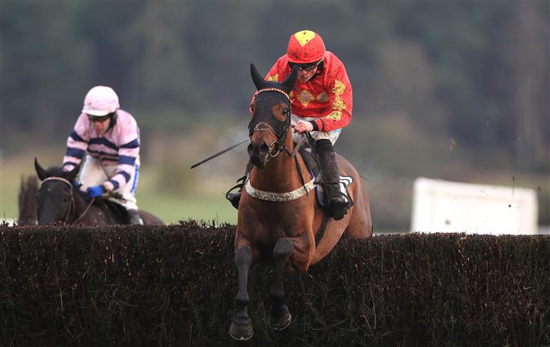 MARKET RASEN, ENGLAND - DECEMBER 30: Mac Tottie ridden by James Bowen wins The racingtv.com Novices Limited Handicap Chase at Market Rasen Racecourse on December 30, 2020 in Market Rasen, England. (Photo by Mike Egerton - Pool/Getty Images)