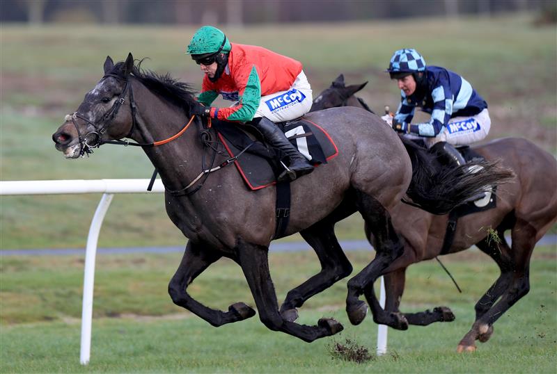 MARKET RASEN, ENGLAND - DECEMBER 30: Geomatrician ridden by David England in action during The racingtv.com Novices Hurdle at Market Rasen Racecourse on December 30, 2020 in Market Rasen, England. (Photo by Mike Egerton - Pool/Getty Images)