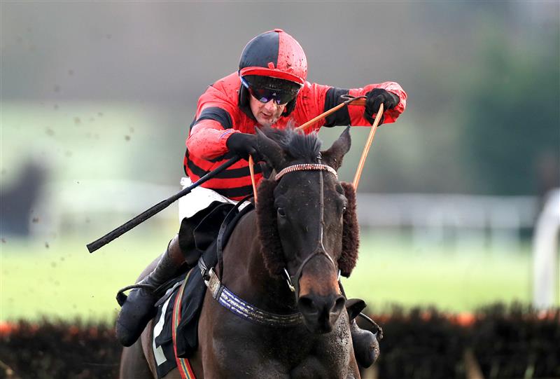 MARKET RASEN, ENGLAND - DECEMBER 30: Ferrobin ridden by James Best goes on to win The Follow RacingTV On Twitter Selling Handicap Hurdle at Market Rasen Racecourse on December 30, 2020 in Market Rasen, England. (Photo by Mike Egerton - Pool/Getty Images)
