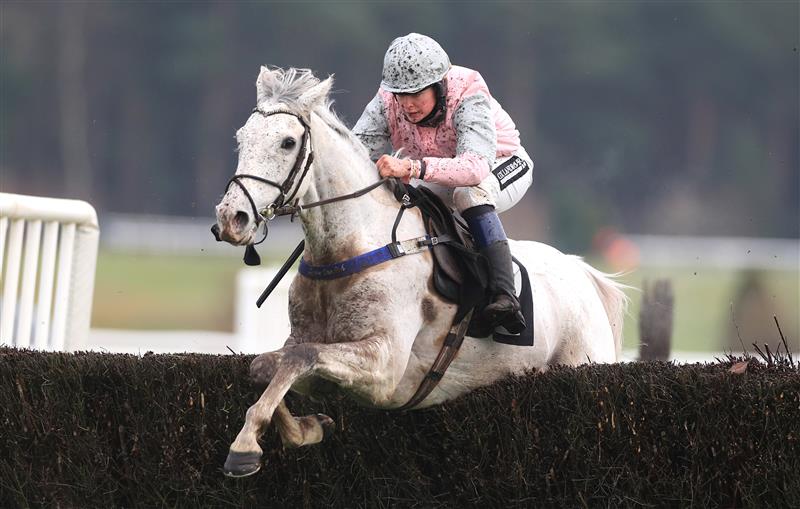 MARKET RASEN, ENGLAND - DECEMBER 30: Theflyingportrait ridden by Lilly Pinchin during The Racing TV Handicap Chase at Market Rasen Racecourse on December 30, 2020 in Market Rasen, England. (Photo by Mike Egerton - Pool/Getty Images)