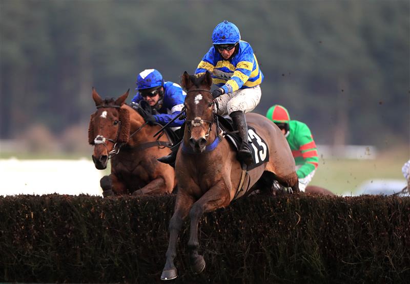 MARKET RASEN, ENGLAND - DECEMBER 30: Who's In The Box ridden by Charlie Hammond goes on to win The Lincolnshire National Handicap Chase at Market Rasen Racecourse on December 30, 2020 in Market Rasen, England. (Photo by Mike Egerton - Pool/Getty Images)