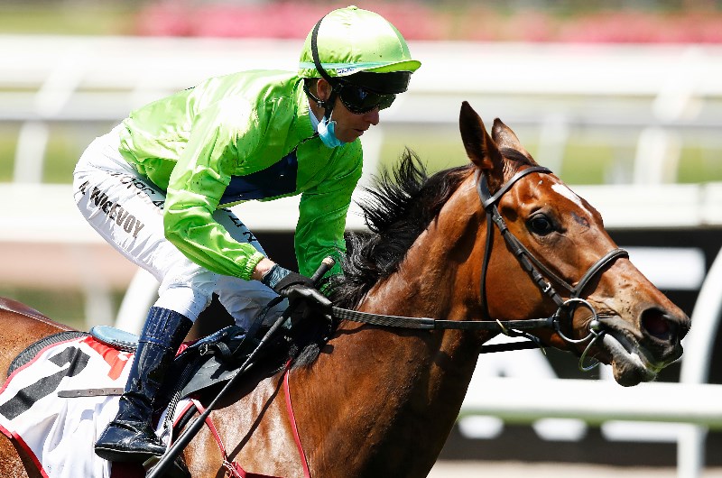 Flemington Betting Tips