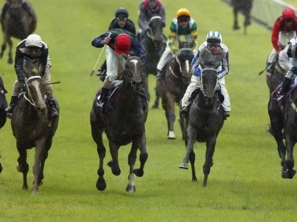 Gawler Racing Tips for 29.01.2020