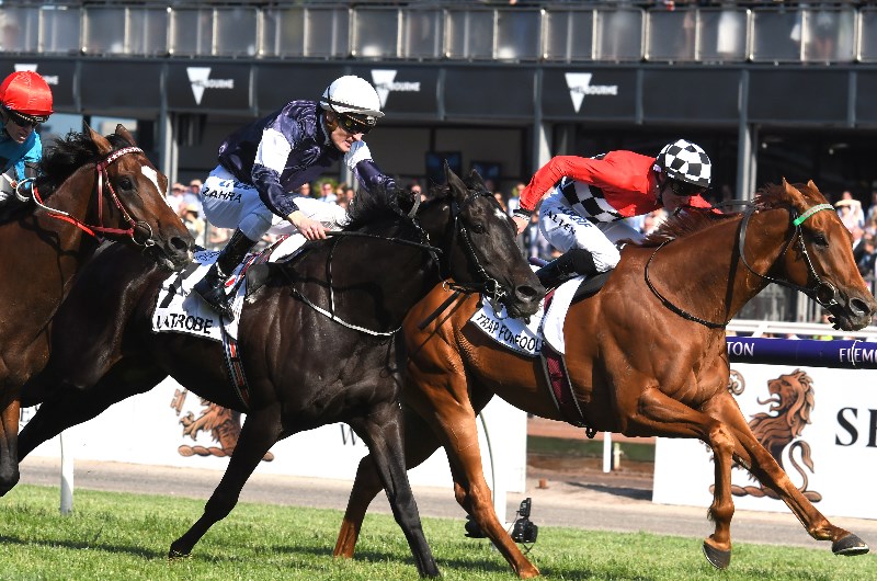 Perth Cup Tips 2021