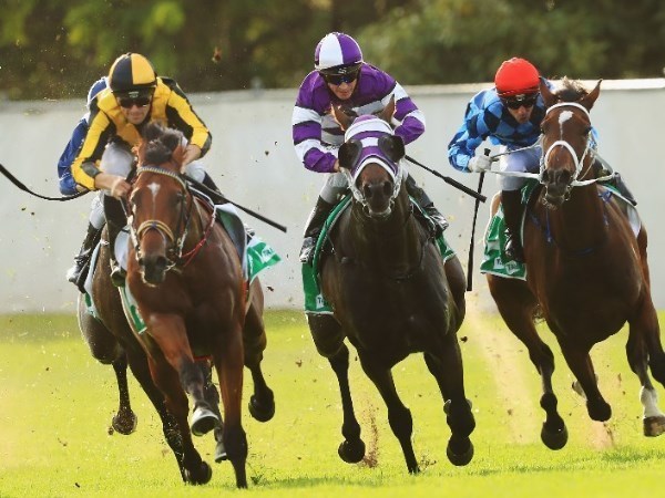 canterbury tips for 10.06.2020