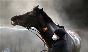 MARKET RASEN, ENGLAND - DECEMBER 30: A horse is hosed down after racing at Market Rasen Racecourse on December 30, 2020 in Market Rasen, England. (Photo by Mike Egerton - Pool/Getty Images)
